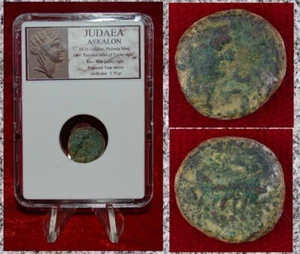 Ancient Judaea Coin ASCALON Philistia Bust Of Tyche and War Galley Bronze - Imagen 1 de 4