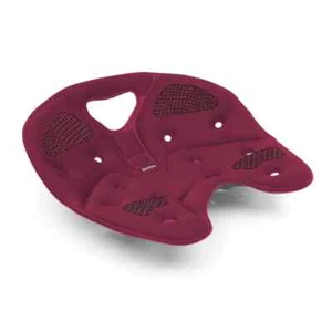 BackJoy SITSMART CORE TRACTION (WINE) SEAT CORRECT AND RELIEVE BACK | BEST DEAL - Picture 1 of 8