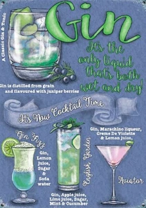 Letrero pequeño de acero Gin It's Now Cocktail Time 200 mm x 150 mm (og) - Imagen 1 de 1
