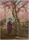 Photo Albuminé Tokyo Horikiri Geisha Japon Japan Vers 1880