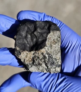 Meteorite**Msied, H4-6 Breccia**110,50 grammi, CADUTA TESTIMONIATA!! 16/11/2021 Marocco - Foto 1 di 24