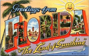 FL Greetings from Florida The Land of Sunshine Large Letter Linen Postcard - Picture 1 of 2