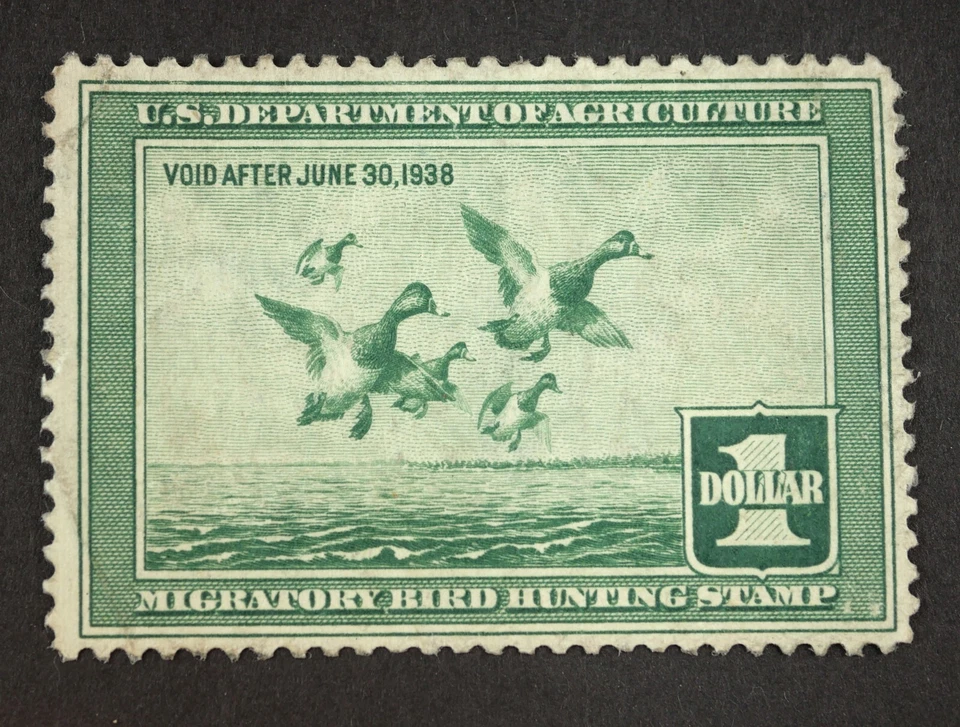 RW4 Federal Duck Hunting Stamps MNH OG Migratory Bird Hunting Stamp 1937 - Image 1 of 2