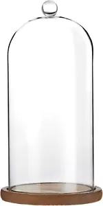 Glass Cloche Dome Bell Jar Display Case with Wooden Base for Plants, Collectible - Picture 1 of 12