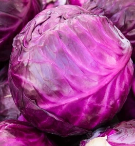 Red Acre Cabbage Heirloom Non-GMO Seeds - Picture 1 of 8