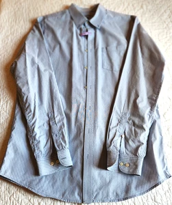 Eddie Bauer Mens Tall L Blue Striped Long Sleeve Button Down Cotton Shirt - Picture 1 of 7