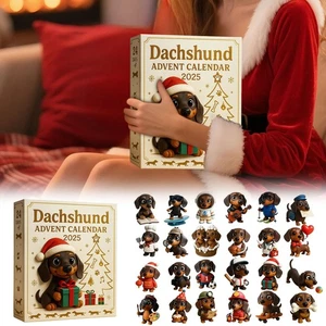 2025 Dachshund Advent Calendar, 24 Days Countdown with Cute Dachshund-3D - Picture 1 of 7