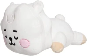 MINI COJÍN ALMOHADA PARA BEBÉ BT21 RJ 12" FELPA NUEVO CON ETIQUETAS JUGUETE SUAVE AURORA - Imagen 1 de 3