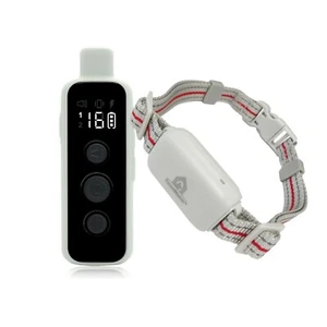 KennelMaster Dog training collar with remote - Picture 1 of 6