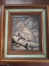 Vintage Basil Ede Owl in Shadow Box Real Feathers 3D 12.5x14.5x3.5" Wall Decor