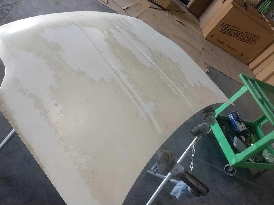 Used Hood fits: 2010 Nissan Sentra  Grade C - Image 1 of 4