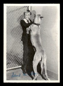 1965 Topps Man from UNCLE Canada #24 David McCallum GD