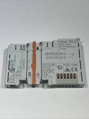 WAGO 750-1516 – Digital Output Module 8-Channel 24VDC 0.5A Negative - Photo 1/4