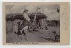 Angola - Dr. Salvador sobre su avestruz (Cuamato, provincia de Cunene) - Publ. Herculano - Imagen 1 de 2