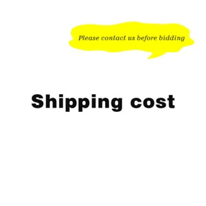 Extra Shipping Fee / Extra Payment Fee ( Please Contact Seller before Bidding) - Picture 1 of 3