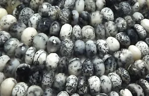16" Strand DENDRITE OPAL AGATE 6-8mm Faceted Rondelle Beads AAA NATURAL - Picture 1 of 1