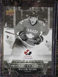 2023-24 Upper Deck WILLIAM DUFOUR Program of Excellence  POE BLACK CANVAS! C264! - Picture 1 of 2