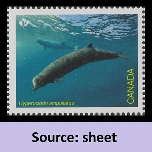 Canada 3327d Endangered Whales Hyperoodon Ampullatus P single MNH 2022 - Picture 1 of 1