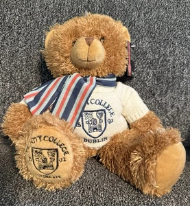 Trinity College Dublin Ireland Teddy Bear Plush 13” Sweater Jumper Scarf New Tag - Picture 1 of 11