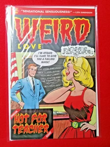 IDW Comics   WEIRD LOVE  #17    unread condition  set break - Picture 1 of 1