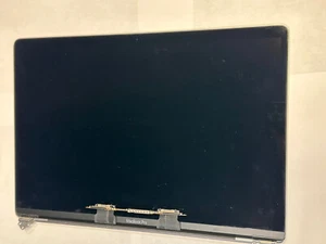Apple Macbook Pro 15 A1990 2018 2019 Usato Argento Schermo LCD Display Assemblato - Foto 1 di 16