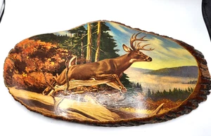 Vtg Cabin Art Lacquer Wood Slab Wall Hanging White Tail Buck Deer Hunting - Picture 1 of 3