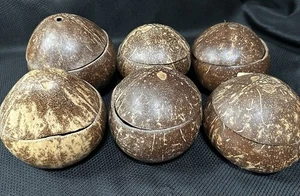 Coconut Shell Hinged Cups Set Of 6 Eco-Friendly Natural Made In Philippines - Picture 1 of 7
