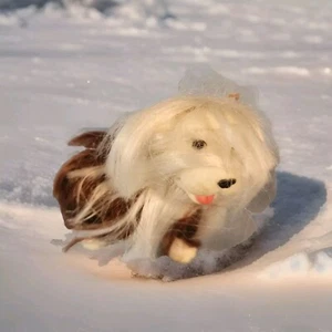 Vintage Sweetie Pups brown Hair Maltese Puppy Dog Toy 1989 Cititoy barbie pet - Picture 1 of 8