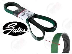 K080810HD Gates Serpentine Belt for Chevy Ram Truck Dodge 2500 3500 Blue Bird 11 - Picture 1 of 3