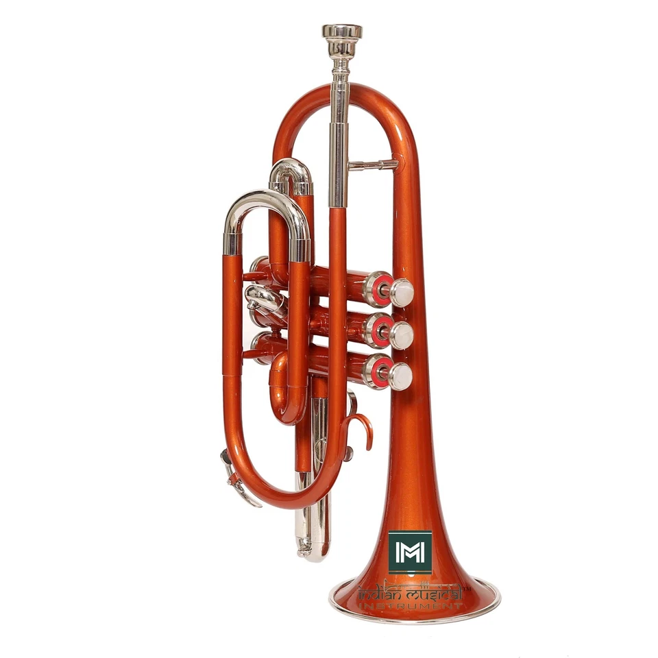 Corneta de latón 3 válvulas paso Bb boquilla lisa guantes estuche instrumentos musicales Foto 1 de 4