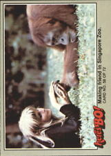 1981 Here's Bo Non-Sport Card #58 Making friend in Singapore Zoo