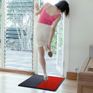 Teppichreinigung und Virenabwehr, Zuhause, Büro - Bild 1 von 2