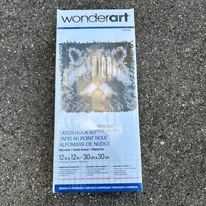 Wonderart Raccoon Latch Hook Kit 12" X 12" Factory Sealed 426226 Canvas & Yarn - Picture 1 of 4
