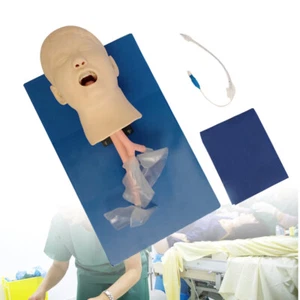Intubationspuppe Studium Lehre Ausbildungsmodell Atemwegsmanagement Trainer Modell - Bild 1 von 11