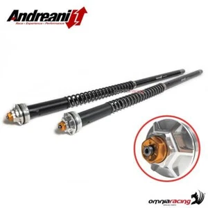 Andreani Misano Evo adjustable cartridges for Showa 43 Ducati Monster 600 - Picture 1 of 9