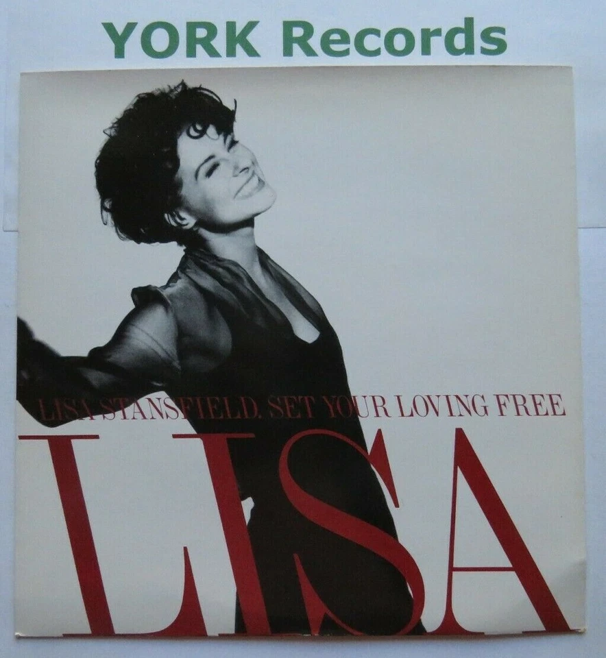 LISA STANSFIELD - Set Your Loving Free - Ex Con 7" Single Arista 74321 100587 - Image 1 of 1