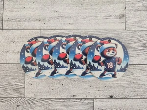 5 CHICAGO BEARS HOLIDAY BEAR QB CARICATURE HOLIDAY CHRISTMAS ORNAMENTS WILLIAMS - Picture 1 of 1