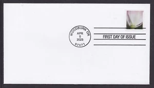 US 5774 Tulip Blossoms pink & white base (from coil) CDS FDC 2023 - Picture 1 of 1