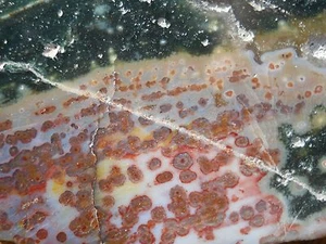 OCEAN JASPER THICK SLAB 6132 - Picture 1 of 6