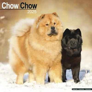 Calendrier 2025 - CHOW CHOW - Picture 1 of 2