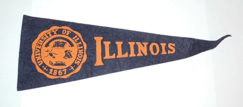 1950's University of Illinois Football Stadium Fighting Illini Pin Mini Pennant Cover