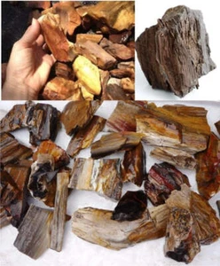 Petrified Wood Natural Rough Gemstone Specimen - Picture 1 of 11