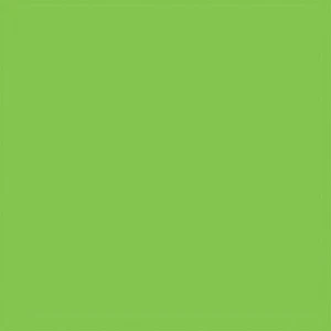 Testor Corp ~ All Scale ~ All-Purpose Enamel Paint ~ Sublime Green ~ 704-1125 - Picture 1 of 1