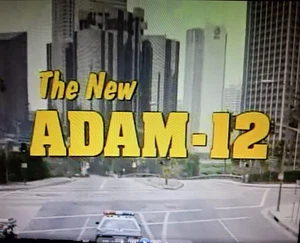 DVD          THE    NEW     ADAM  12    1990- 91 - Picture 1 of 2