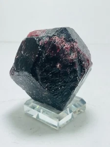 Granat Almandin Granat Collobrières Var Provence Alpes Côte d'Azur Frankreich 893ct - Bild 1 von 11