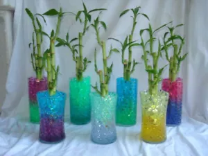 water beads -start tiny and absorb water to expand store and release vase filler - Picture 1 of 84