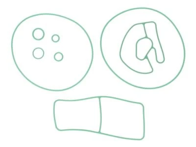 Seal Ring SANTECH MT2127 - Image 1 of 3