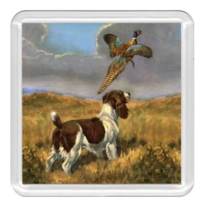 English Springer Spaniel Fasan Hund Acryl Untersetzer Neuheit Getränk Tasse Matte Geschenk - Bild 1 von 1