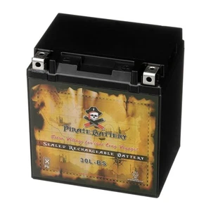 Pirate Battery YTX30L-BS Maintenance Free Sealed AGM Motorcycle Battery - Picture 1 of 6