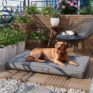 Orthopedic Large Dog Bed 3D Mattress Filling Bed Cushion Removable Leather Cover - Picture 1 of 24